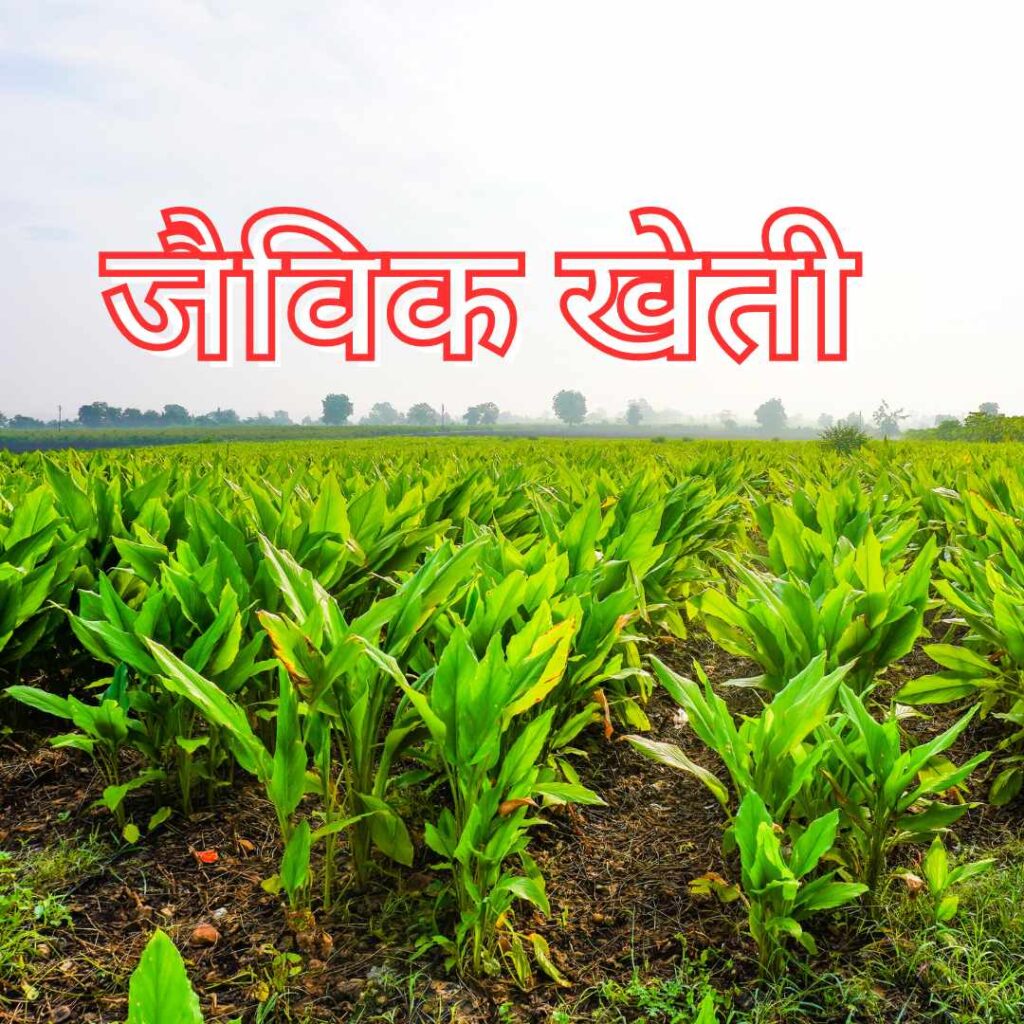 What is Organic Farming in Hindi